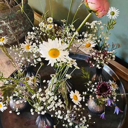 Landhaus Steiner Hotel Altenmarkt im Pongau