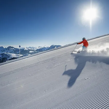 Steiner Hotel Altenmarkt im Pongau